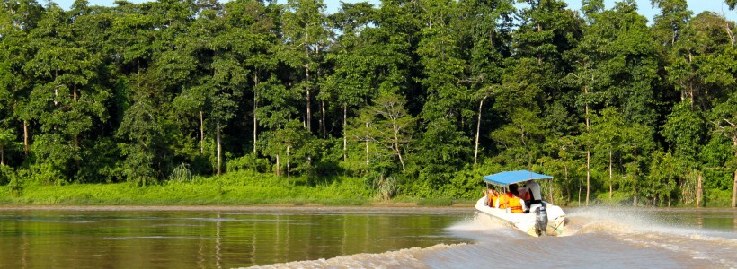 A boat maneuvers down the Kinabatangan River in Borneo