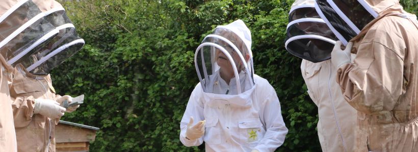 Lynda - Brilliant Beekeeper