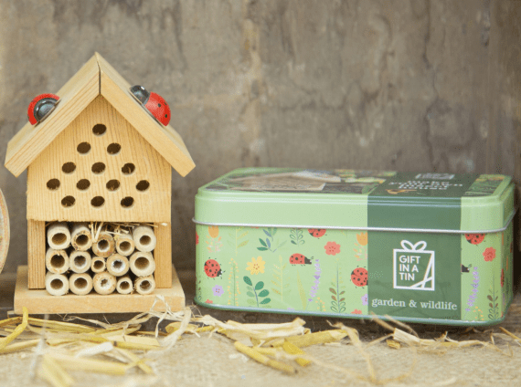 Anrheg mewn Tun: Creu eich Tŷ Pryfed Eich Hun - Image 3