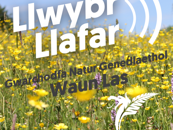 Llwybr Llafar Waun Las audio trail